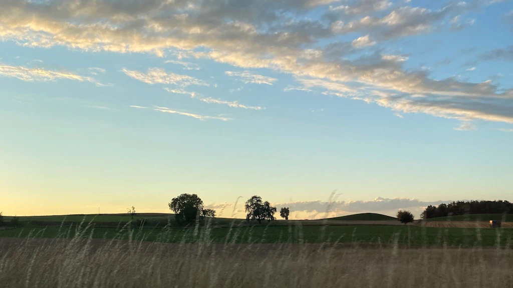Paesaggio con ampio orizzonte, alberi isolati e cielo nuvoloso al tramonto